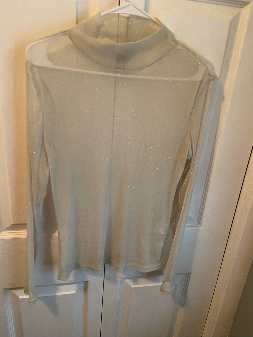H&M Shimmer Sheer Turtleneck Top - Light Beige